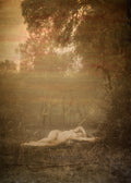 Hushed Branches