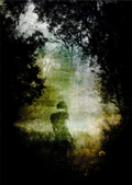 Timeless Meadow